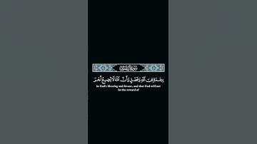 يستبشرون #quran #تلاوة_خاشعة #اكسبلور #surah #لايك #راحة_نفسية #طارق_محمد