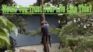 Timeless Rappelling Techniques Modern Climbers Have Never Seen #treeclimbing #rappeling #rigging