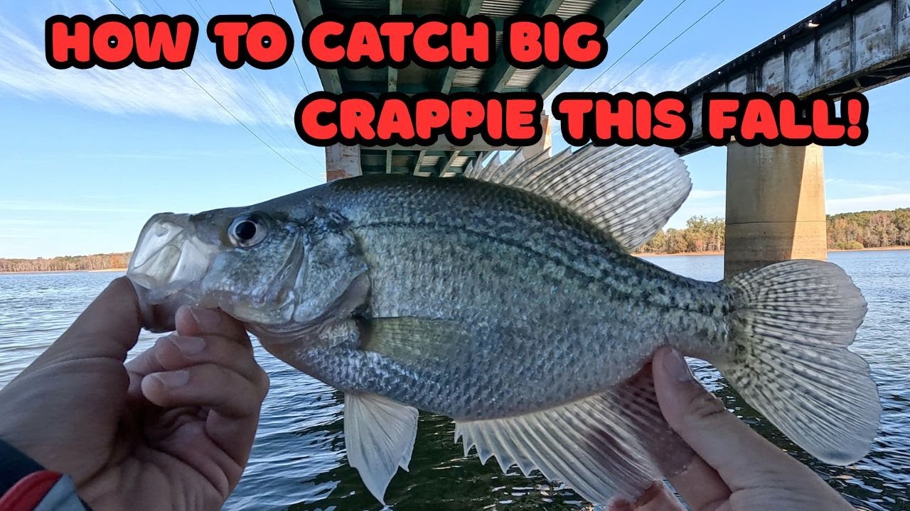 Smoking Some Slabs! (Tips and Tricks for Fall Crappie!)