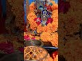 #janmashtami #youtubevideo #youtube #youtubeshorts #krishna #trending #janmashtamispecial #love