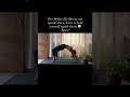 Practicing Chakrasana | Inversions | Blood circulation |Online Yoga |