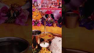 Laddu Gopal bhog 🙏 #krishna #shyam #vrindavan #Premanand Ji Maharaj#viral short