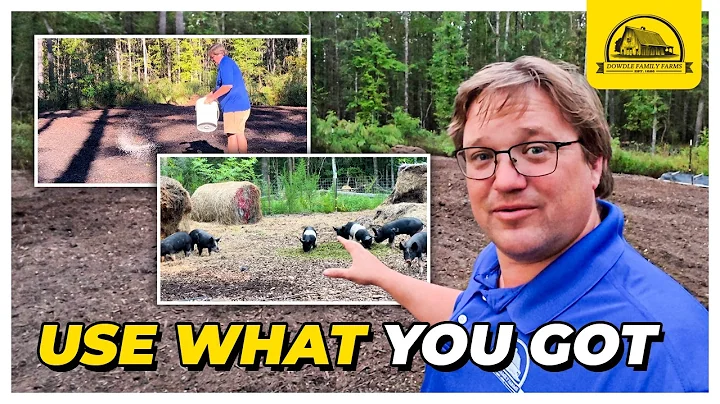 Growing Cover Crops In a Pig Pen in Decomposing Woodchips and Hay