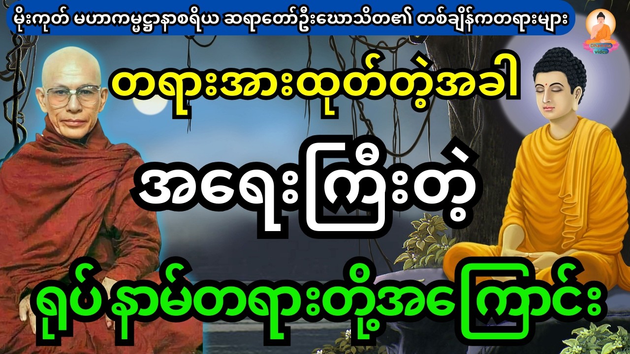 တရားအားထုတ်တဲ့အခါ အရေးကြီးတဲ့ ရုပ် နာမ်တရားတို့အကြောင်း တရားတော်