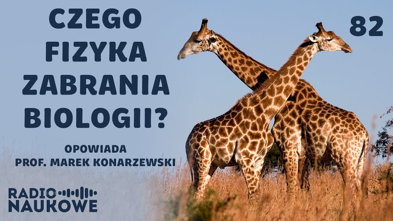 Architektura ciał - jak biologia negocjuje z fizyką? | prof. Marek Konarzewski