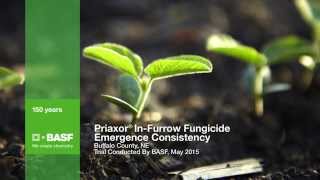 Priaxor In-Furrow Fungicide Soybean Emergence Timelapse