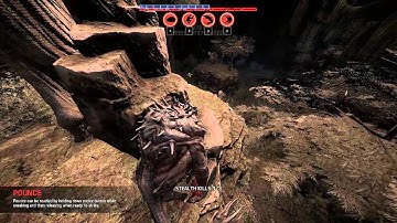 Evolve Closed Beta Tutorial