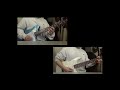 the band apart - katana cover