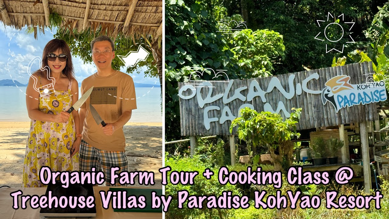 4 courses course-by-course Thai cooking class plus organic farm tour @ Treehouse Villas Koh Yao Noi.