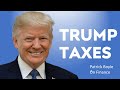 Trump Taxes Analyzed & Explained