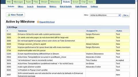 Assembla Portfolio Tutorial
