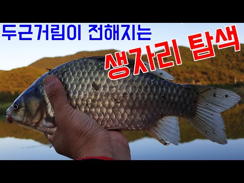 두근거림이 전해지는 생자리 탐색