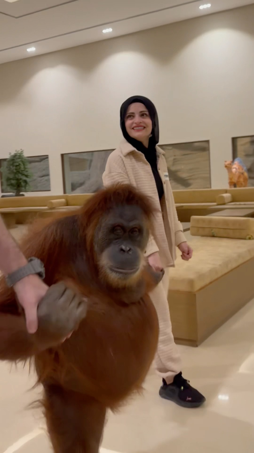 ام سيف مع حبوبة ? ام سيف ونانو