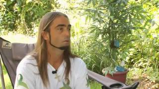 Pot Raid Suspect Speaks