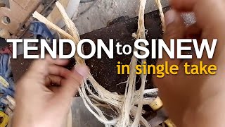 Tendon to Sinew