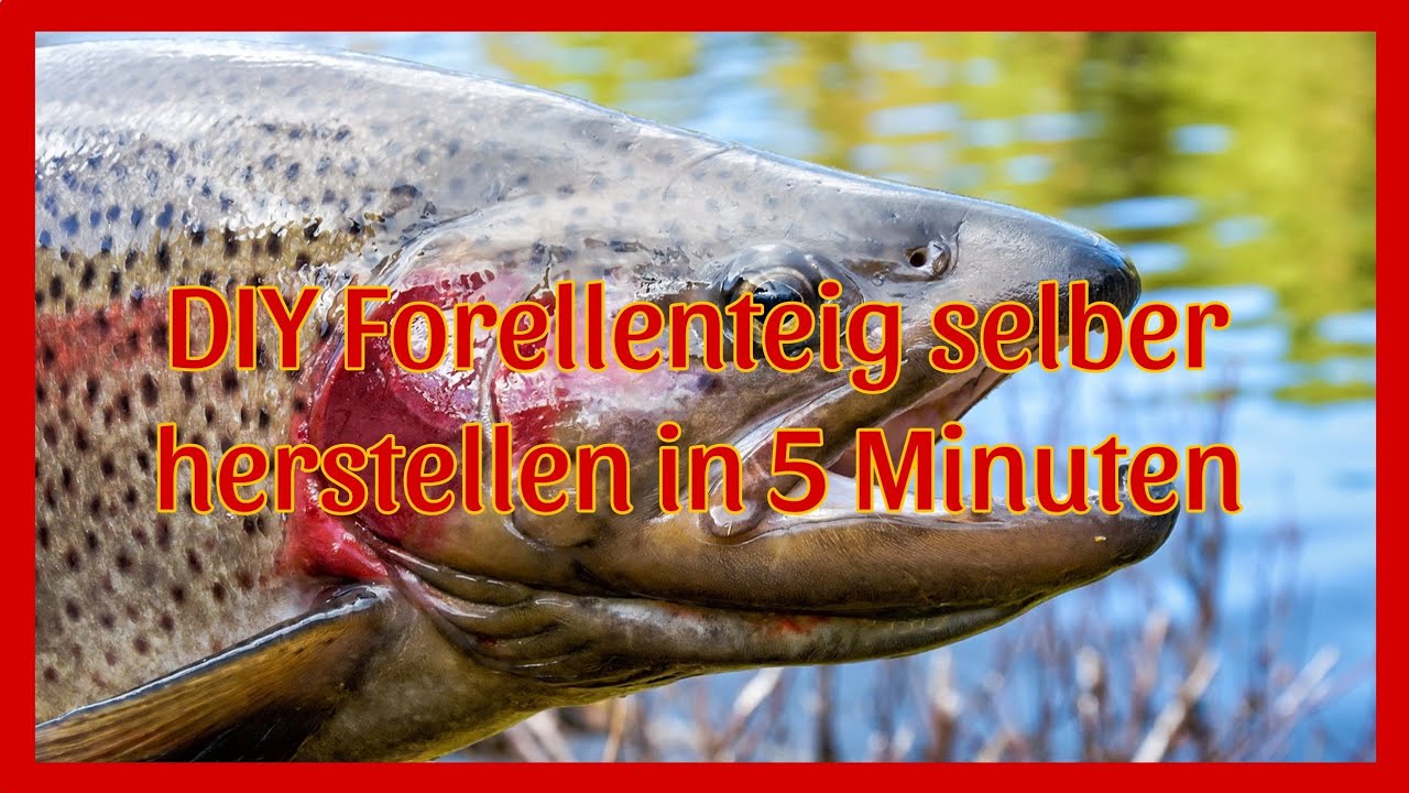 DIY ! Forellenteig selber herstellen in 5 min, ganz einfach, aus Haushaltsmitteln