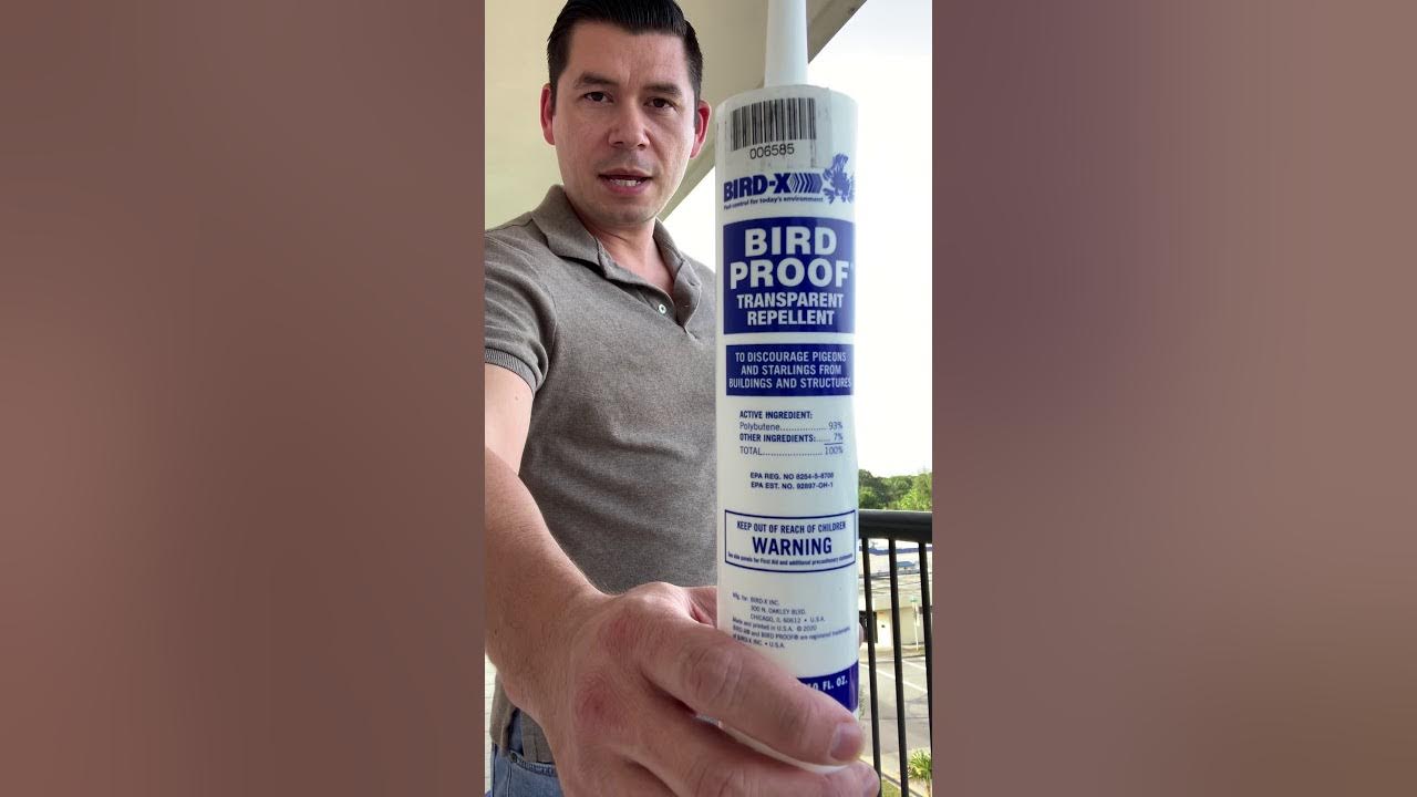 BirdX Gel Bird Repellent Review Part 1 YouTube