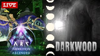 5.5 Stress Test \& Darkwood
