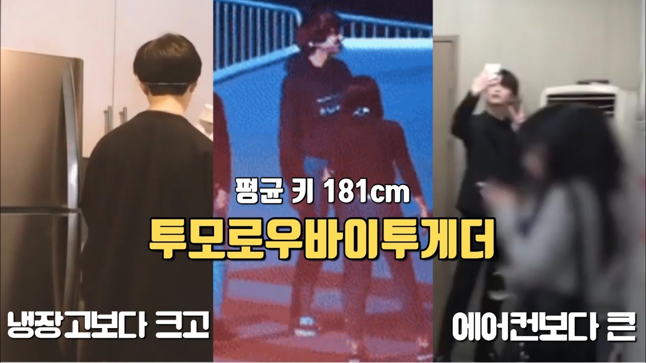 [TXT] 투바투 키 실감해보기 [투모로우바이투게더] TXT=Giant babies