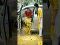 car se nikle kadi chaval😱😱🥱#video #chaval #trending