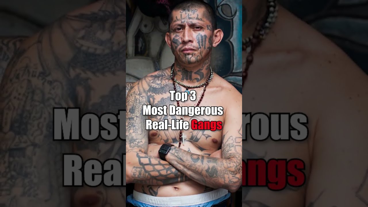 Top Most DANGEROUS Gangs In The WORLD Shorts Gangster Mostpopular Mostdangerous