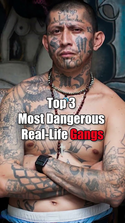 Top Most | DANGEROUS Gangs in the WORLD #shorts #gangster #mostpopular #mostdangerous