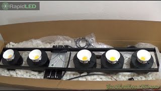 BEST LED GROW LIGHT ON THE MARKET TODAY!!!