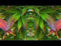Slave Labour - GhanjaStar