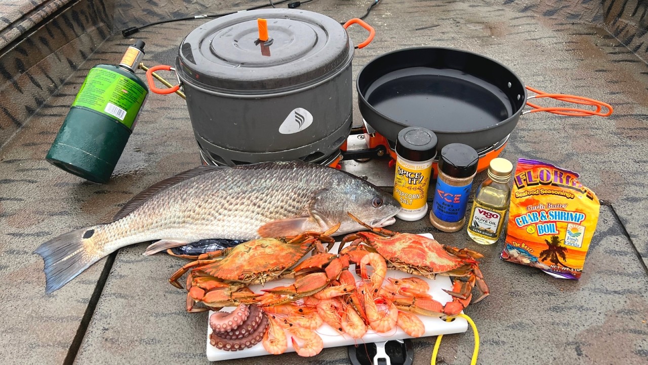 3 Hours of Epic Saltwater Fishing - Octopus, Shrimp, Snapper Catch n' Cook!