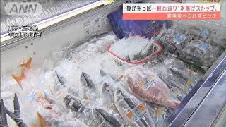 “軽石”で水揚げストップ　三宅島の鮮魚店にも影響(2021年11月22日)