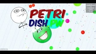 30 Seconds And The Top Top Petri Dish.pw Hack Arag.io Agar.io Petridish.pw