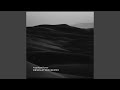 Nevermind The Past (Desolation Remix)