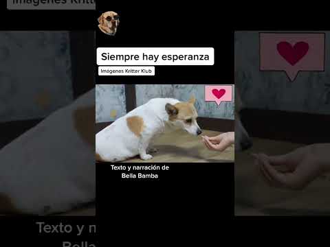 Siempre hay esperanza