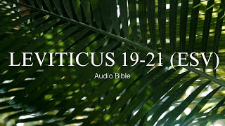 Day 36: Leviticus 19-21 (ESV) | Audio Bible with written text | Bible in a Year