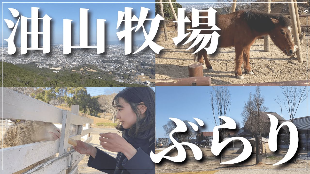 【福岡】リニューアルした油山牧場に行ってきた！ | ゆるvlog | 福岡デート