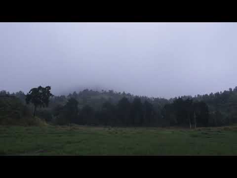 sidringo lake #camping #campfire #overnightcamp #wild #wildlife #youtubeshorts #youtube #short
