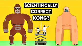 Could A Mammal As BIG As King Kong Ever Exist? DEBUNKED