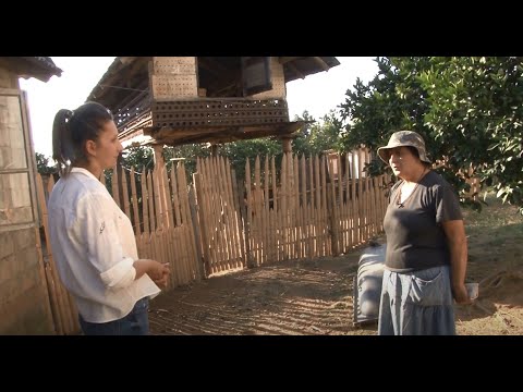 გურიის ახალი ამბების სპეციალური გამოშვება - 15.10.2020