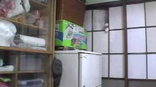 20081210-4.mov