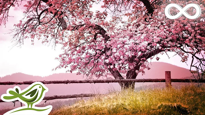 7 Hours of Relaxing Sleep Music  Soft Piano Music,...