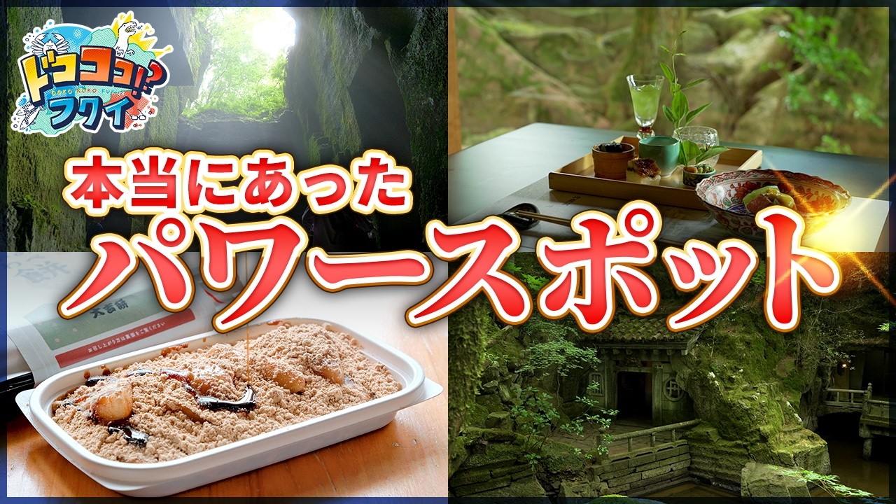 【福井のパワースポット巡り】黒龍神社・石切場・観覧堂…歴史×絶景×運気UP！【ドコココ！？フクイ】福井県リアルインタビュー 愛知発→福井・坂井エリアドライブ観光編