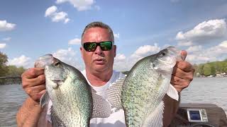 Crappie on the Bank - Go Now!!!