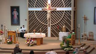 Holy Mass and Special Events at St Stephen the Martyr