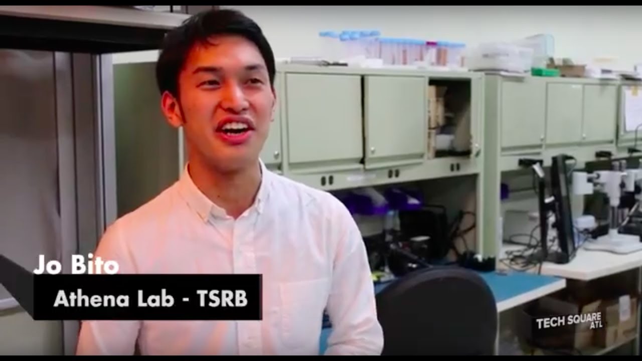 Spotlight - ATHENA Lab - Jo Bito