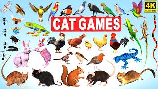 3D TV for Cats 😺| Ultra Realistic 3D Cat Games for Cats to Watch  | Chase Fun for Cats | 4k 60fps screenshot 3