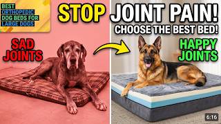 Top 10 Best Orthopedic Dog Beds for Large Dogs to Buy in 2026