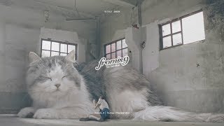 프로미스나인 fromis_9 - 두근두근DKDK