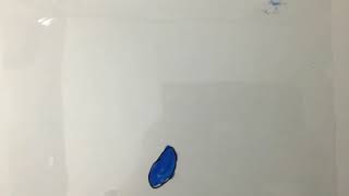 Cel Animation test