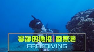 來自墾丁寧靜的漁港| 香蕉灣| 自由潛水| FREEDIVING | VLOG-018