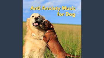 Exciting Music for Forgetting Mirrors